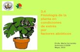 3.4 Fisiología de la planta en condiciones de estrés por factores abióticos Profa. María Ferrarotto Semestre II-2009 Mayo, 2010.