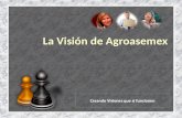 La Visión de Agroasemex Creando Visiones que sí funcionen.