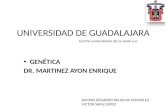UNIVERSIDAD DE GUADALAJARA GENÉTICA DR. MARTINEZ AYON ENRIQUE Centro universitario de la costa cuc. RAMON EDUARDO PALACIOS GONZALEZ VICTOR SAINZ LOPEZ.