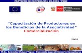“Capacitación de Productores en los Beneficios de la Asociatividad” Salomón Chávez Tapia - Consorcio Asecal-Mercurio Consultores “Capacitación de Productores.
