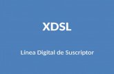 XDSL Línea Digital de Suscriptor. INTRODUCCIÓN Esta Exposición describe básicamente los aspectos técnicos de la tecnología utilizada para poder proveer.