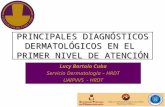 PRINCIPALES DIAGNÓSTICOS DERMATOLÓGICOS EN EL PRIMER NIVEL DE ATENCIÓN Lucy Bartolo Cuba Servicio Dermatología – HRDT UAIPVVS - HRDT.