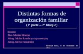 Distintas formas de organización familiar (1ª parte – 2º bloque) Docentes: Dra. Marisa Herrera Abog. Moira Revsin (a cargo del bloque) Abog. Silvia Fernández.