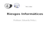 Riesgos Informáticos Profesor: Eduardo Peña J. TIC’s 2013.