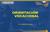 ORIENTACIÓN VOCACIONAL Lic. Malibe González. La orientación vocacional es la ayuda sistemática, técnica, ofrecida a una persona, para que llegue a un.