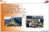 Preparado para la Universidad Arturo Prat (CHILE) por Estudios Mineros del Perú Lima, Marzo del 2006.