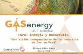 Www.gasenergy.com.br Foro: Energía y Desarrollo “Una Visión Independiente de la Industria de Gas en Perú“ Marzo 2010 Álvaro Ríos Roca.