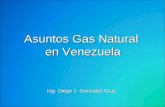 Asuntos Gas Natural en Venezuela Ing. Diego J. González Cruz.