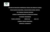 COLEGIO DE EDUCACION PROFESIONAL TECNICA DEL ESTADO DE MEXICO PTB EN QUIMICA INDUSTRIAL: AGUILAR GARCIA DANIEL GERMAN PSP: GABRIELA GONZALES ESPINOZA.
