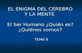 EL ENIGMA DEL CEREBRO Y LA MENTE El Ser Humano ¿Quién es? ¿Quiénes somos? TEMA 9.