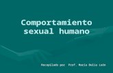 Comportamiento sexual humano Recopilado por Prof. María Delia León.