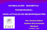 ESTIMULACIÓN MAGNÉTICA TRANSCRANEAL: USOS ACTUALES EN NEUROPSIQUIATRÍA Dra. Roxana Galeno Instituto Neurociencias Mendoza Fundopsi - 2010.