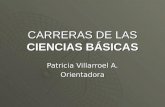 CARRERAS DE LAS CIENCIAS BÁSICAS Patricia Villarroel A. Orientadora.