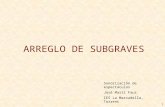 1 ARREGLO DE SUBGRAVES Sonorización de espectáculos José Martí Faus IES La Marxadella, Torrent.