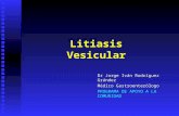 Litiasis Vesicular Dr Jorge Iván Rodríguez Grández Médico Gastroenterólogo PROGRAMA DE APOYO A LA COMUNIDAD.
