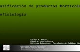 Clasificación de productos hortícolas Ecofisiología Universidad Nacional del Litoral Facultad de Ciencias Agrarias Departamento de Producción Vegetal Carlos.