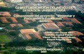 GEOREFERENCIACIÓN DEL RIESGO DE DESERCIÓN UNIVERSITARIA Componente del proyecto: “Bienestar y Permanencia Estudiantil” –BEPES- Adolfo León Correa Silva.