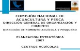 PLANEACIÓN ESTRATÉGICA 2007 CENTROS ACUÍCOLAS DIRECCIÓN GENERAL DE ORGANIZACIÓN Y FOMENTO COMISIÓN NACIONAL DE ACUACULTURA Y PESCA DIRECCIÓN DE FOMENTO.