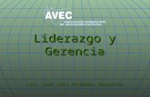 Liderazgo y Gerencia Lic. José Luis Andrades González.