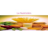 La Nutrición. Una buena alimentación La nutrición es principalmente el aprovechamiento de los nutrientes. Encargada del estudio y mantenimiento del equilibrio.