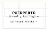 PUERPERIO Normal y Patológico Dr Yesid Acosta P. Periodo comprendido desde el nacimiento del feto y la expulsión de la placenta hasta el retorno del tracto.