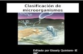Clasificación de microorganismos Editado por Gissely Quintero- IE JMC.