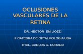 DR. HÉCTOR EMILIOZZI II CATEDRA DE OFTALMOLOGIA UBA HTAL. CARLOS G. DURAND OCLUSIONES VASCULARES DE LA RETINA.