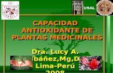 CAPACIDAD ANTIOXIDANTE DE PLANTAS MEDICINALES Dra. Lucy A. Ibáñez,Mg,Dr Lima-Perú 2008 CAPACIDAD ANTIOXIDANTE DE PLANTAS MEDICINALES Dra. Lucy A. Ibáñez,Mg,Dr.