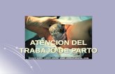 ATENCION DEL TRABAJO DE PARTO. Atención del parto Es el conjunto de actividades y procedimientos dirigidos a dar como resultado un nacimiento donde la.