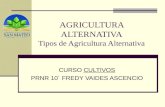 AGRICULTURA ALTERNATIVA Tipos de Agricultura Alternativa CURSO CULTIVOS PRNR 10´ FREDY VAIDES ASCENCIO.