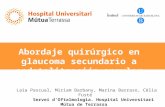 Laia Pascual, Miriam Barbany, Marina Barraso, Cèlia Fusté Servei d’Oftalmologia. Hospital Universitari Mútua de Terrassa Abordaje quirúrgico en glaucoma.