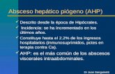 Absceso hepático piógeno (AHP) Descrito desde la época de Hipócrates. Incidencia: se ha incrementado en los últimos años. Constituye hasta el 2.2% de los.