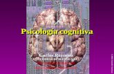 Psicología cognitiva Carlos Reynoso UNIVERSIDAD DE BUENOS AIRES billyreyno@hotmail.com billyreyno@hotmail.com  © 2006, Scientific.