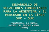 DESARROLLO DE RELACIONES COMERCIALES PARA LA ARGENTINA Y EL MERCOSUR EN LA LÍNEA SUR – SUR (SUDÁFRICA. LA INDIA. PAÍSES DEL BLOQUE ASEAN, JAPÓN) Expositor.