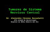 Tumores de Sistema Nervioso Central Dr. Alejandro Cáceres Bassaletti Jefe Unidad de Neurocirugía Hospital de Niños Roberto del Río.