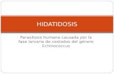 Parasitosis humana causada por la fase larvaria de cestodos del género Echinococcus HIDATIDOSIS.