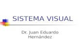SISTEMA VISUAL Dr. Juan Eduardo Hernández. SISTEMA VISUAL - Crea un mapa codificado por localización de su campo sensorial (mundo visual) que se preserva.