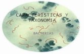 CARACTERISTICAS Y TAXONOMIA BACTERIAS. Propuesta de los 5 reinos (Whittaker 1969) Ideada por Whittaker y ampliamente difundida por Margulis esta propuesta.