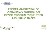 PROGRAMA INTEGRAL DE VIGILANCIA Y CONTROL DEL RIESGO MÚSCULO ESQUELÉTICO INDUSTRIAS HACEB.