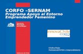 CORFO –SERNAM Programa Apoyo al Entorno Emprendedor Femenino Cristina Rojas Profesional PMTJH y Emprendimiento.