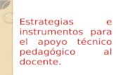 Estrategias e instrumentos para el apoyo técnico pedagógico al docente.