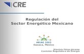 Regulación del Sector Energético Mexicano Dionisio Pérez-Jácome Comisión Reguladora de Energía ARIAE 2003 Oaxaca, México.