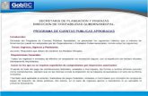 PROGRAMA DE CUENTAS PUBLICAS APROBADAS SECRETARIA DE PLANEACION Y FINANZAS DIRECCION DE CONTABILIDAD GUBERNAMENTAL. PROGRAMA DE CUENTAS PUBLICAS APROBADAS.
