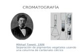 CROMATOGRAFÍA Mikhail Tswett, 1906 Separación de pigmentos vegetales usando una columna de carbonato cálcico.