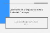 Conflictos en la Liquidación de la Sociedad Conyugal Aída Kemelmajer de Carlucci 2012.