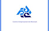 Centro Empresarial de Mexicali. Desarrollo Regional de Mexicali.
