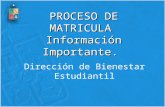 PROCESO DE MATRICULA Información Importante. Dirección de Bienestar Estudiantil.