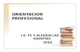 ORIENTACION PROFESIONAL I.E. FE Y ALEGRIA LAS GAVIOTAS 2014.