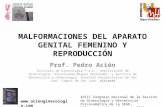 MALFORMACIONES DEL APARATO GENITAL FEMENINO Y REPRODUCCIÓN Prof. Pedro Acién Instituto de Ginecología P.A.A.; Dep/División de Ginecología, Universidad.