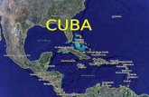 CUBA. Cuba es una isla situada en el mar Caribe. Tiene forma de cocodrilo y dicen que es la llave del Golfo de México.